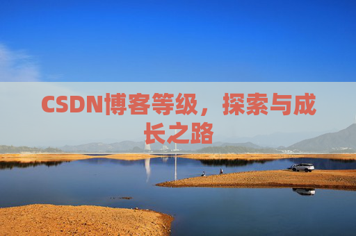CSDN博客等级，探索与成长之路